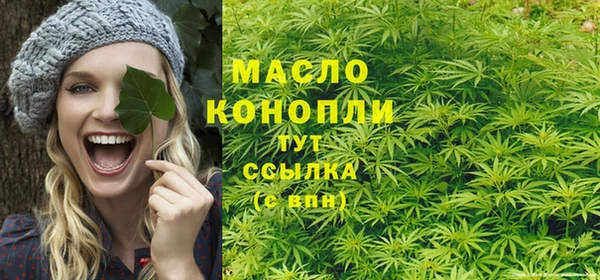 прущие грибы Вязьма