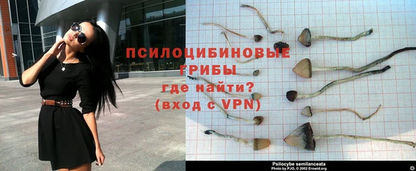 PSILOCYBIN Володарск